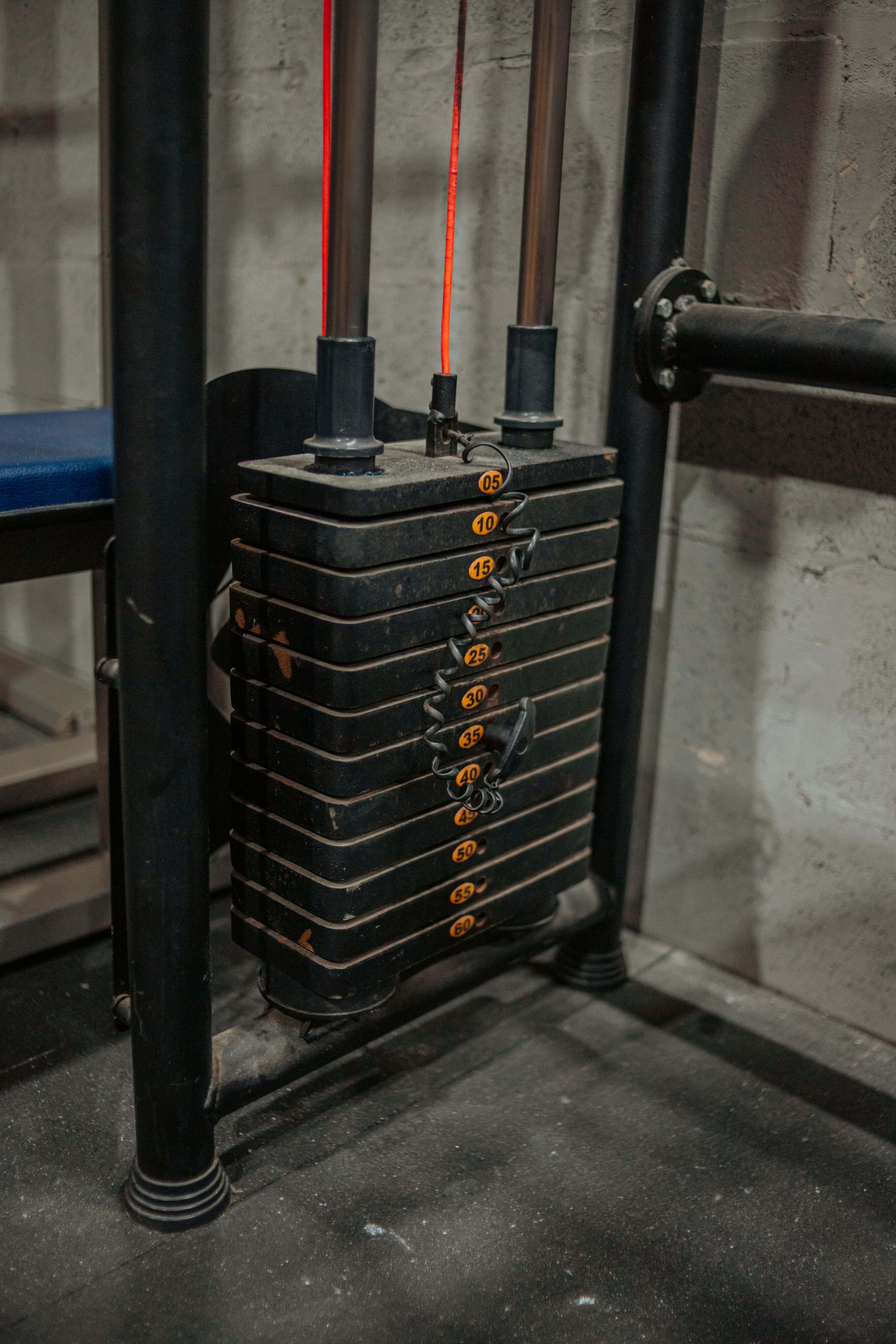 Imagem representando o plano Trimestral